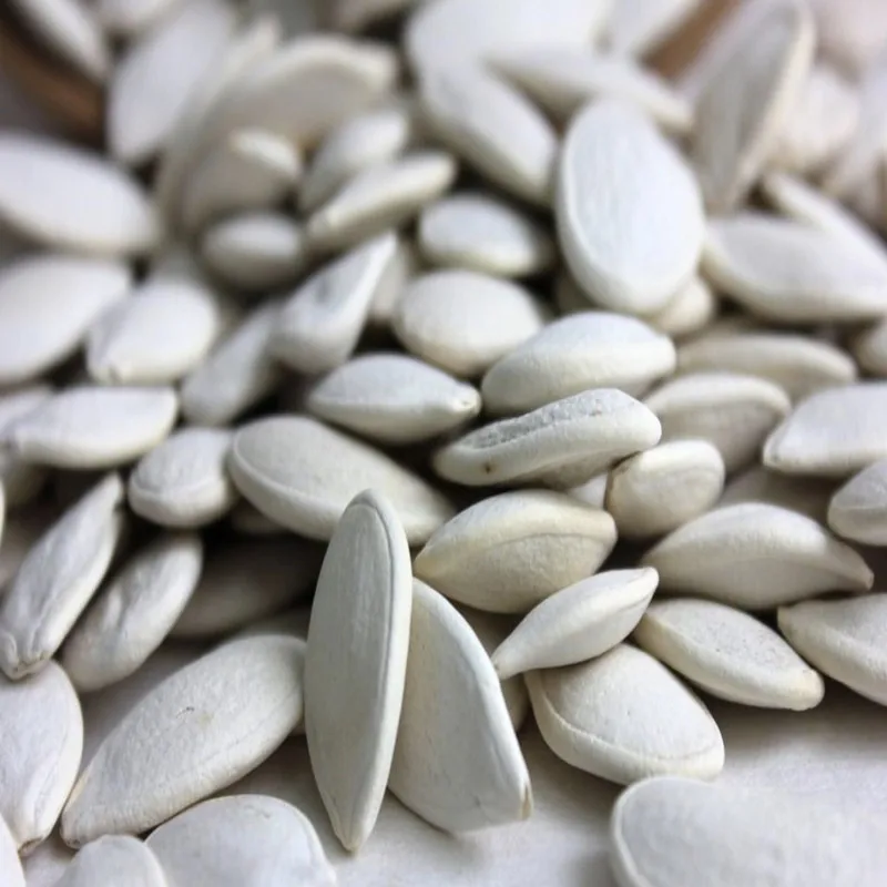 nuts and seeds pumpkin seed protein snow white pumpkin seeds price