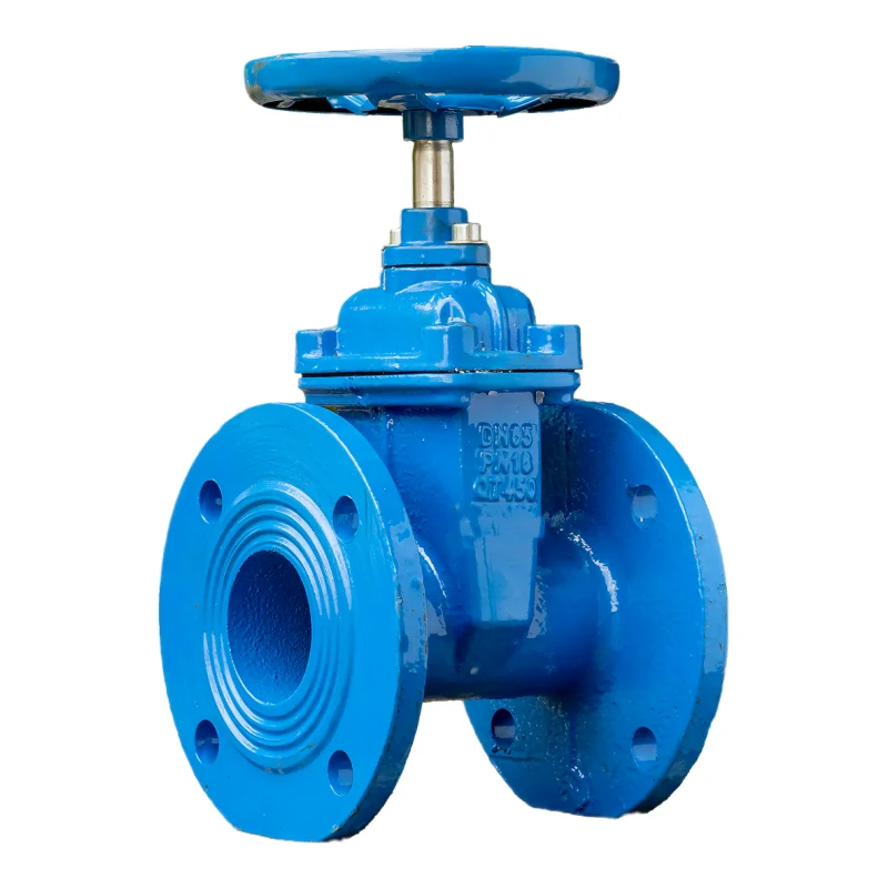 DIN PN10/16/25, ANSI B16.1, BS4504, ISO PN10/16, JIS B2212/2213 Cast Iron Gate Valve