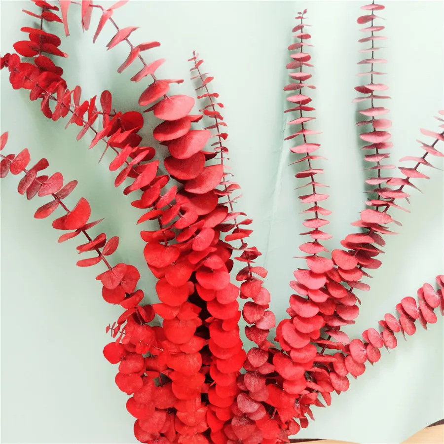 2022 Hot Selling Natural  Eucalyptus Leaves Dried Eucalyptus Leaves Eucalyptus Leaf for Decoration