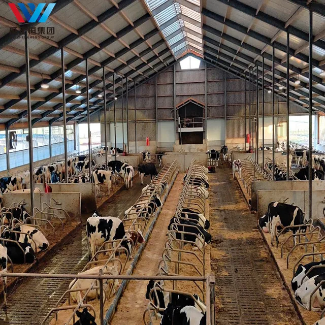Сборная стальная конструкция Cowshed молочная ферма для крупного рогатого