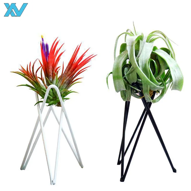 Air-plant metal wire holder metal wire storage stands Planter Bags