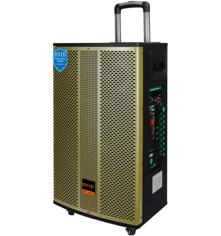 2022 New Speakers ODM Amplifier Speakers Outdoor Big Speaker Sound System For Stage Performance Wholesale