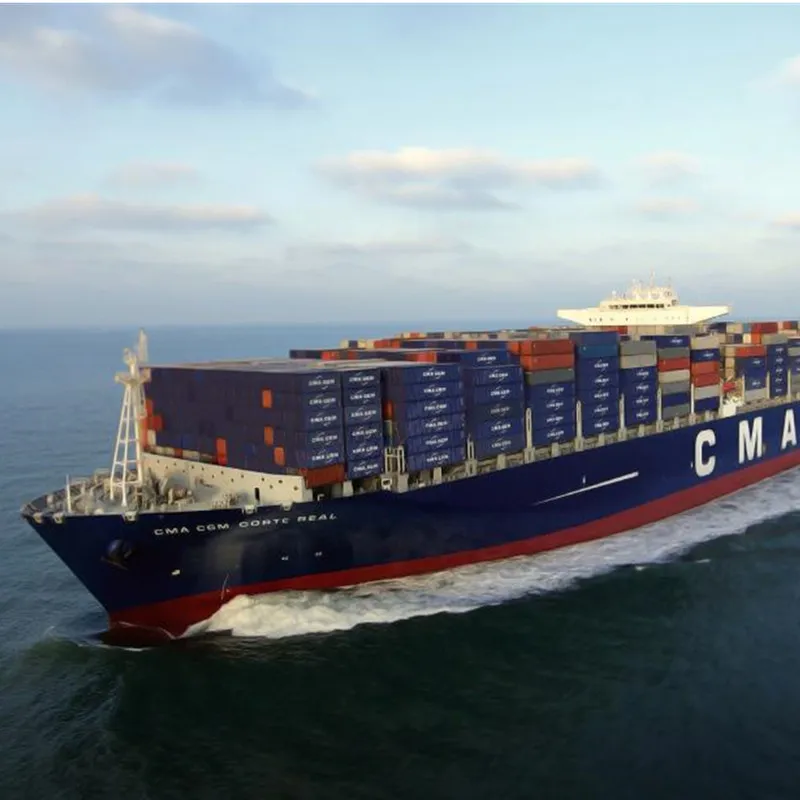 Preponderant High Quality transport Container Freight Forwarder lower Sea shipping charges from China to UK