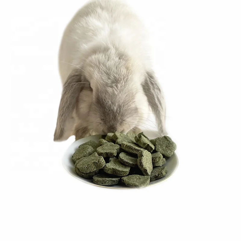 2022 Sell Rabbit Guinea Pig Hamster Chinchilla Sugar Glider Snacks Hedgehog food rabbit chew toys hamster guinea pig  treat food