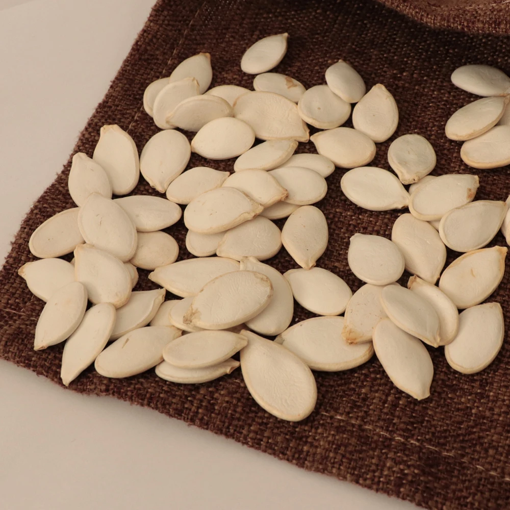 Factory Wholesale NEW Crop NON-GMO Shine Skin Pumpkin Seeds Different Types Of Seeds Snow White Pumpkin Kernels