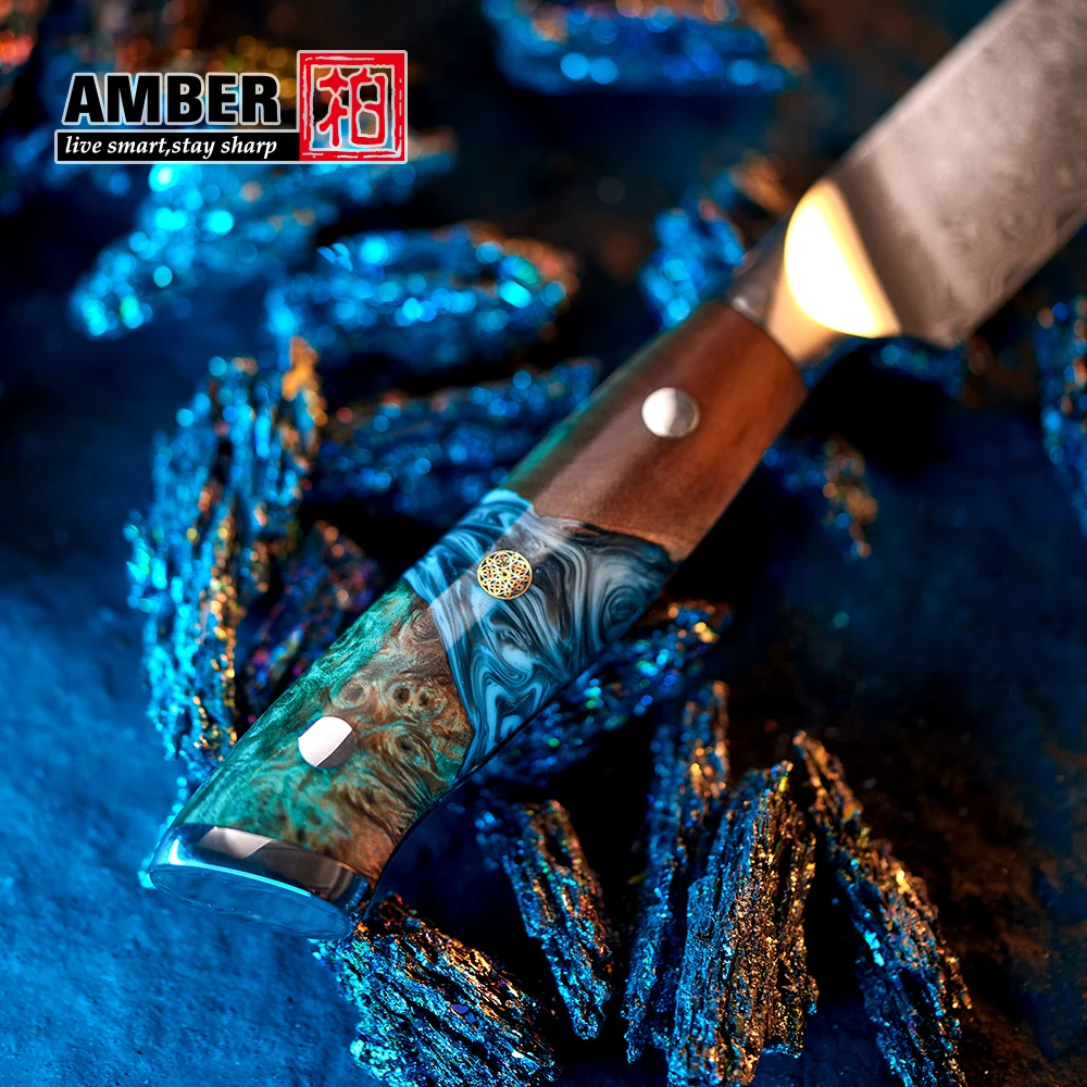 Professional wood handle 67 layers damascus steel knives Santoku Chef Knife with resin handle