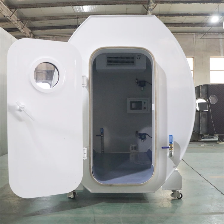 Animal Research Hard Type Altitude Chamber Hypobaric Chamber Low Pressure Test Chamber