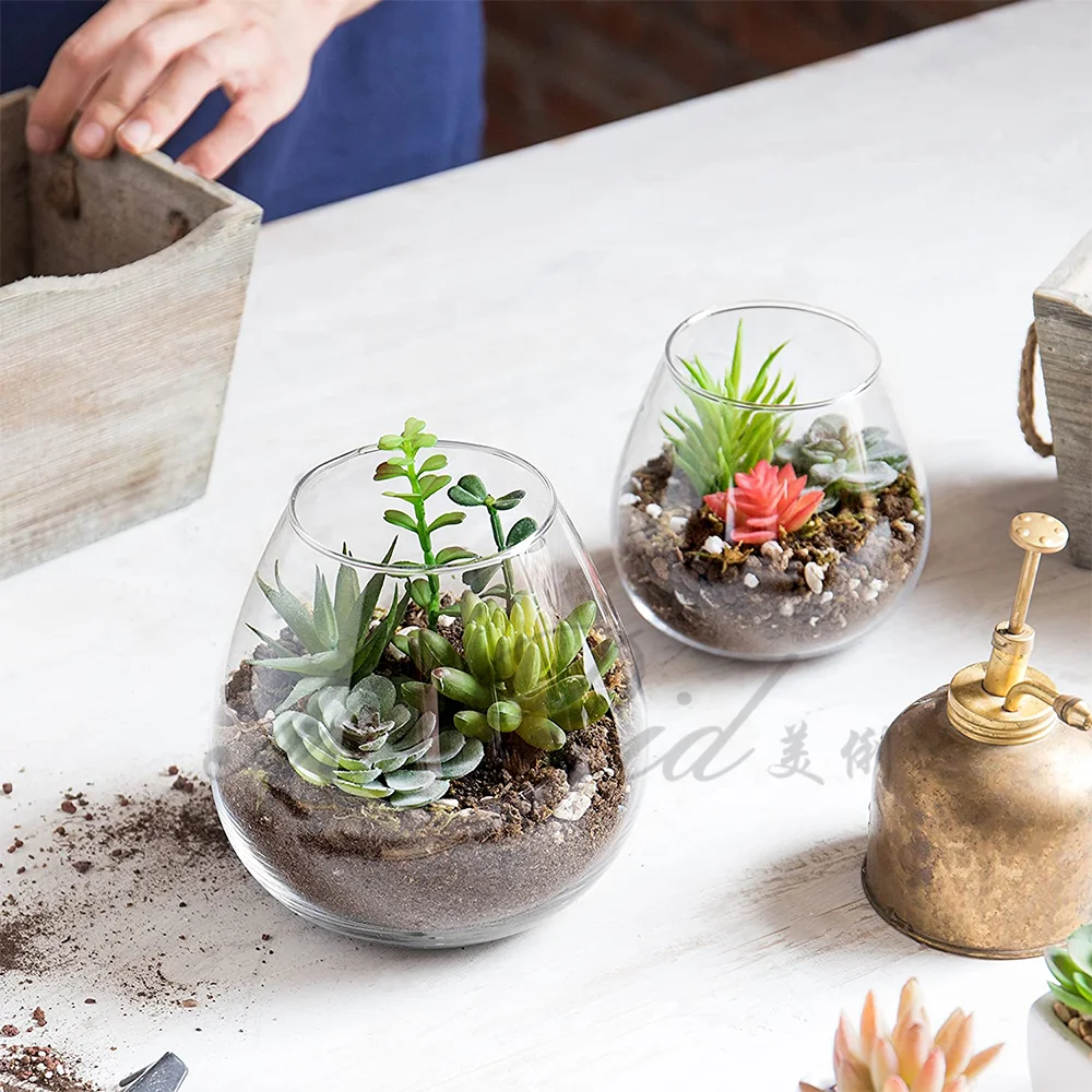 Round Glass Plant Tabletop Terrarium Succulent Air Plant Planter Fish Bowl Eco-friendly
