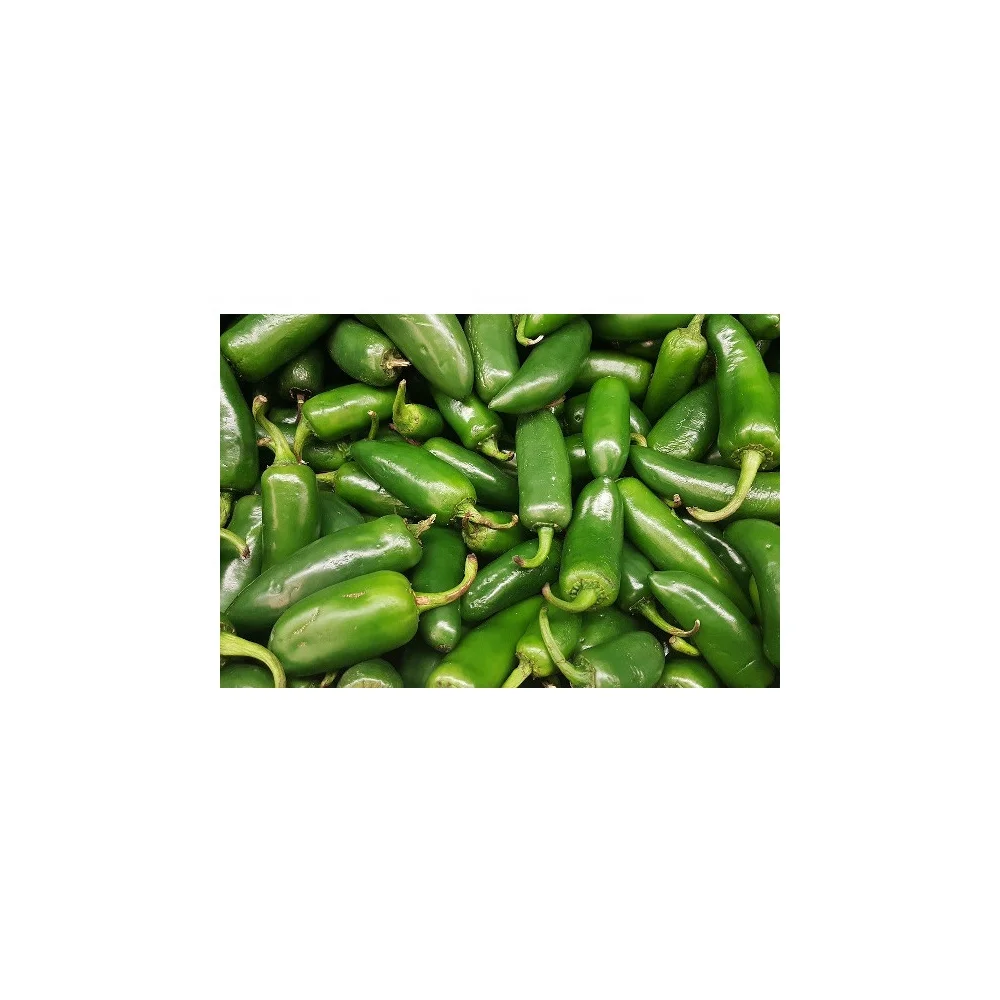 IQF Jalapenos Whole Slice Cut Sliced Green Jalapeno Pepper Cut Bulk Frozen Vegetables with Factory Price