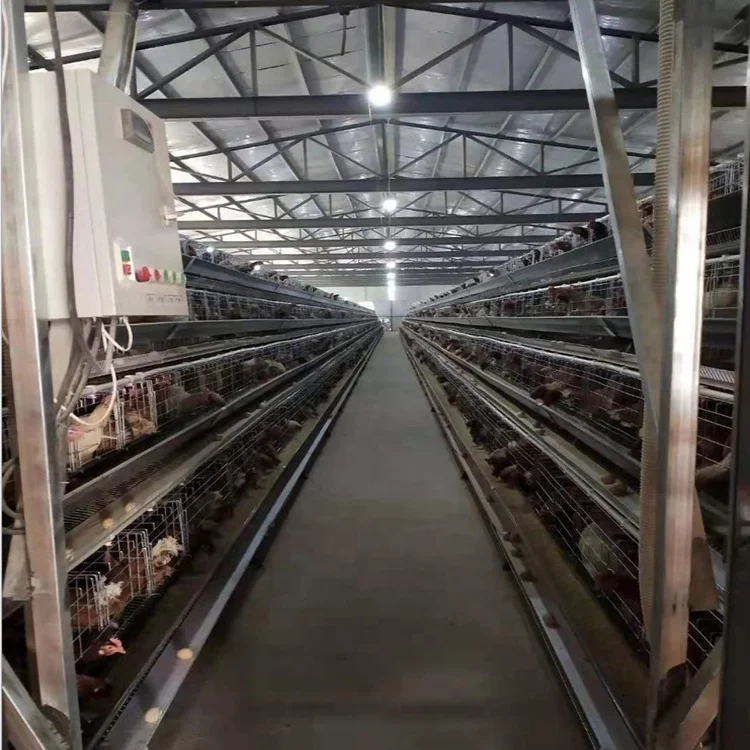 
Горячая Распродажа, горячая Распродажа, гальванизированные куриные батарейные клетки для многослойного куриного клетки бройлеров 
