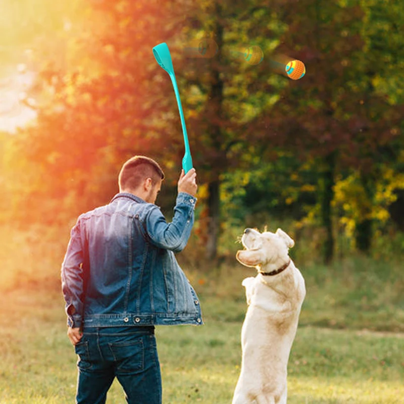 Hot Selling Wholesale Tiktok Training Dog Walking Non-Automatic Outdoor Toy Throwing Cue Ball