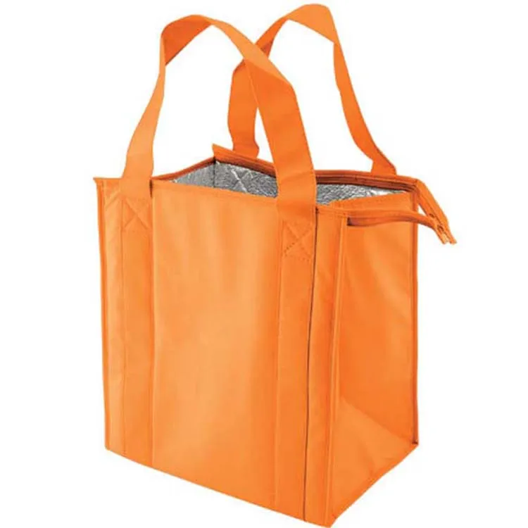 Thermo cooler Bag with black plastic bottom insert