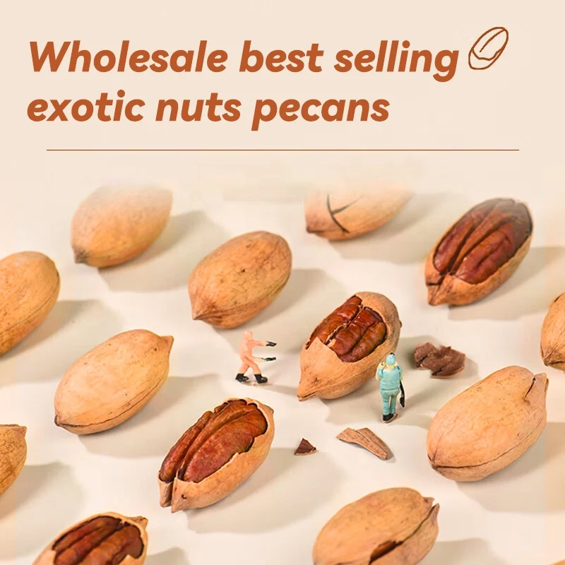 Low Price Wholesale 500g Pecan Pistachio Pecan Nuts Raw 100%Natural Pecan Nuts Dried Fruit