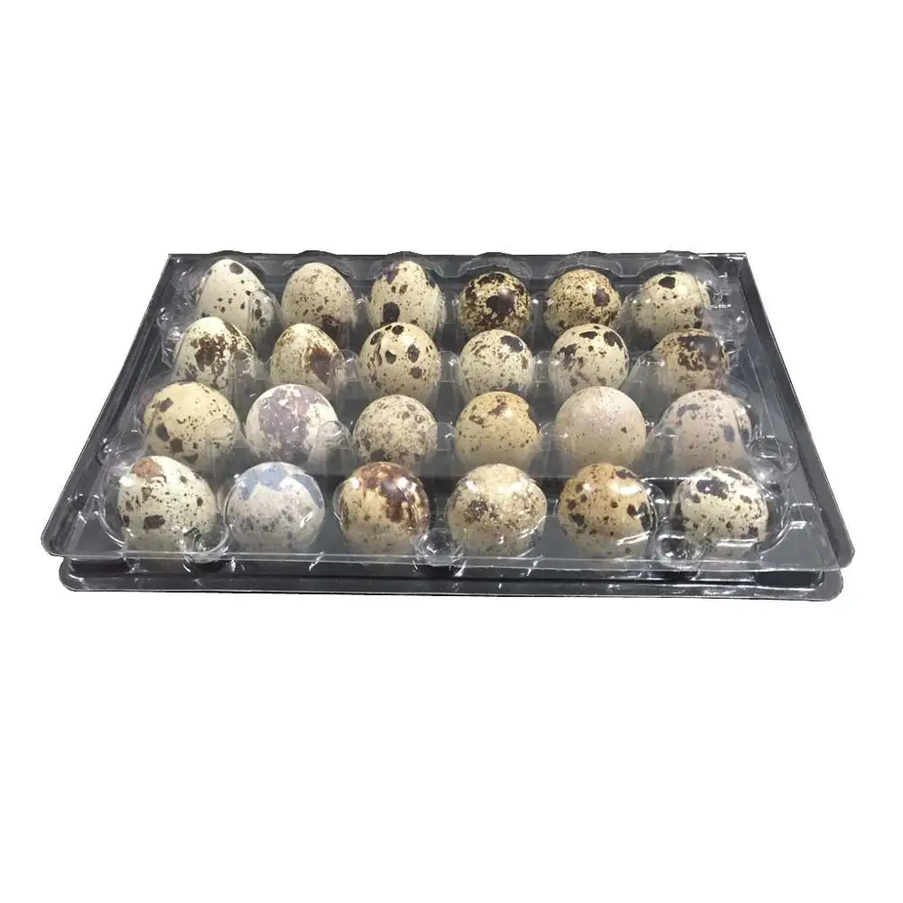 24 caves quail egg tray