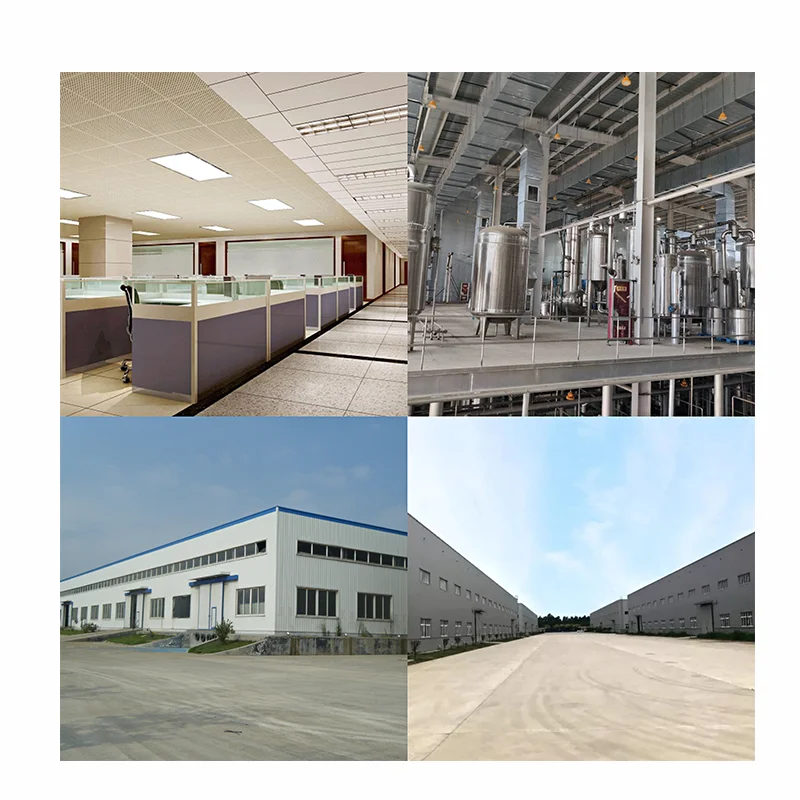 Ginsenoside 5%~80%  CAS 14197-60-5  Ginseng Root Extract   Ginseng Stem and Leaf Extract  Ginsenoside Powder