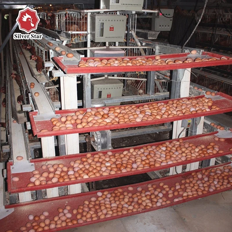 A Type H Type Layer Chicken Hens Cage Poultry Farm Feeder Chicks Broiler Automatic Equipment Chicken Coop Design