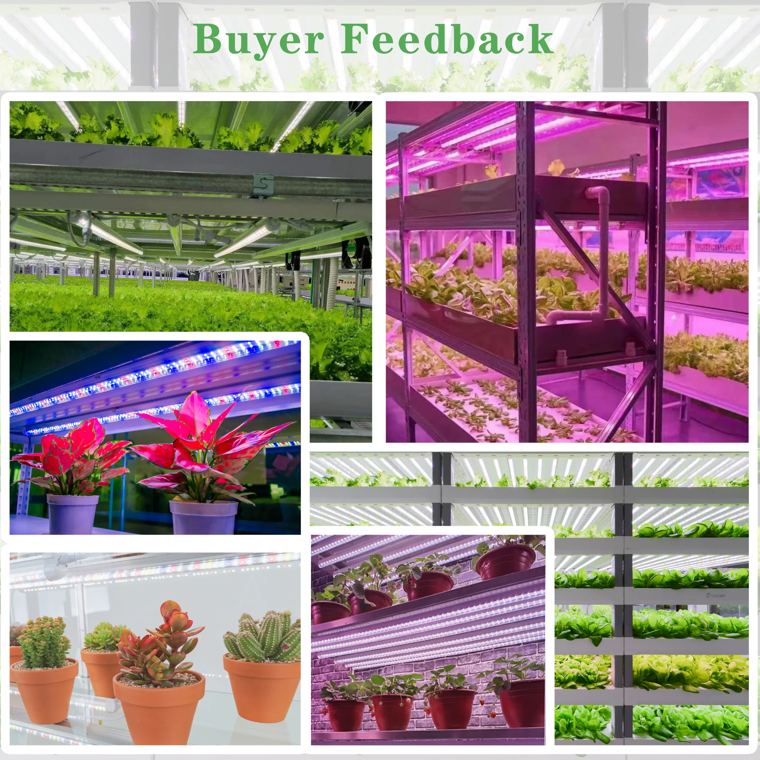Full Spectrum Plant UV IR Channels Dimmable Commercial Hydroponic Indoor Grow T8 Led Plant Light