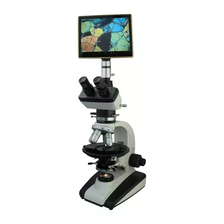 Polarizing microscope BM-60XCP (tablet computer  Transreflection)