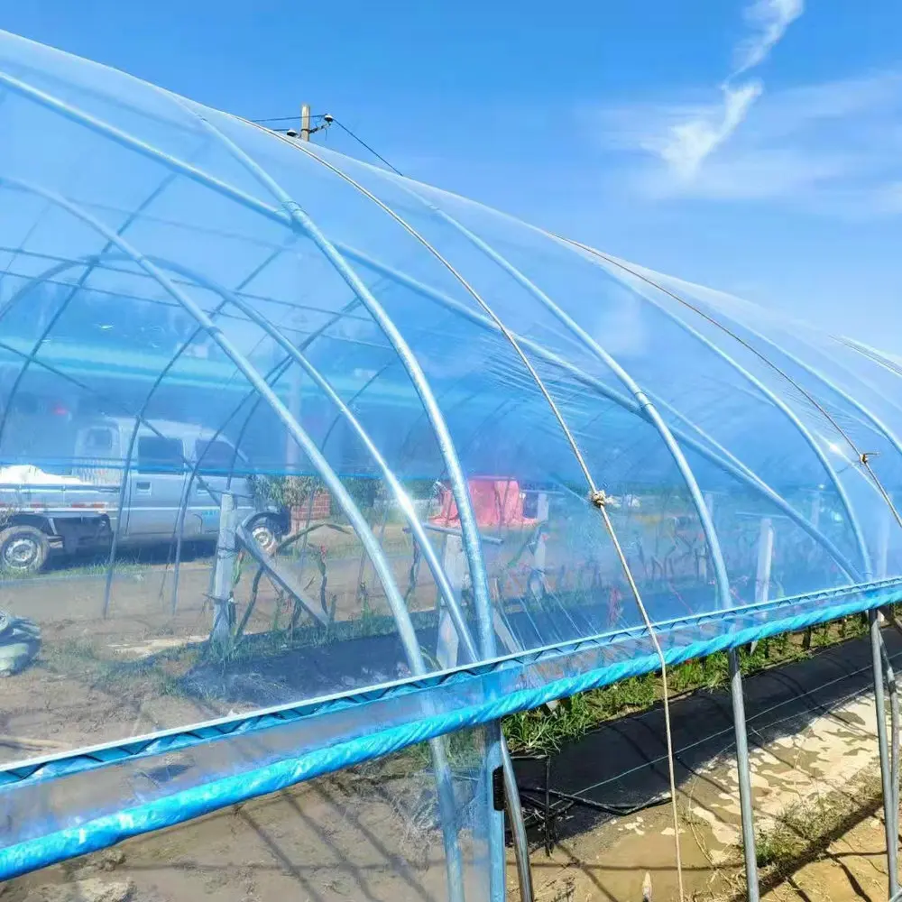 agricultural cheap 8x30m tunnel greenhouse film with cooling pad exhaust fan
