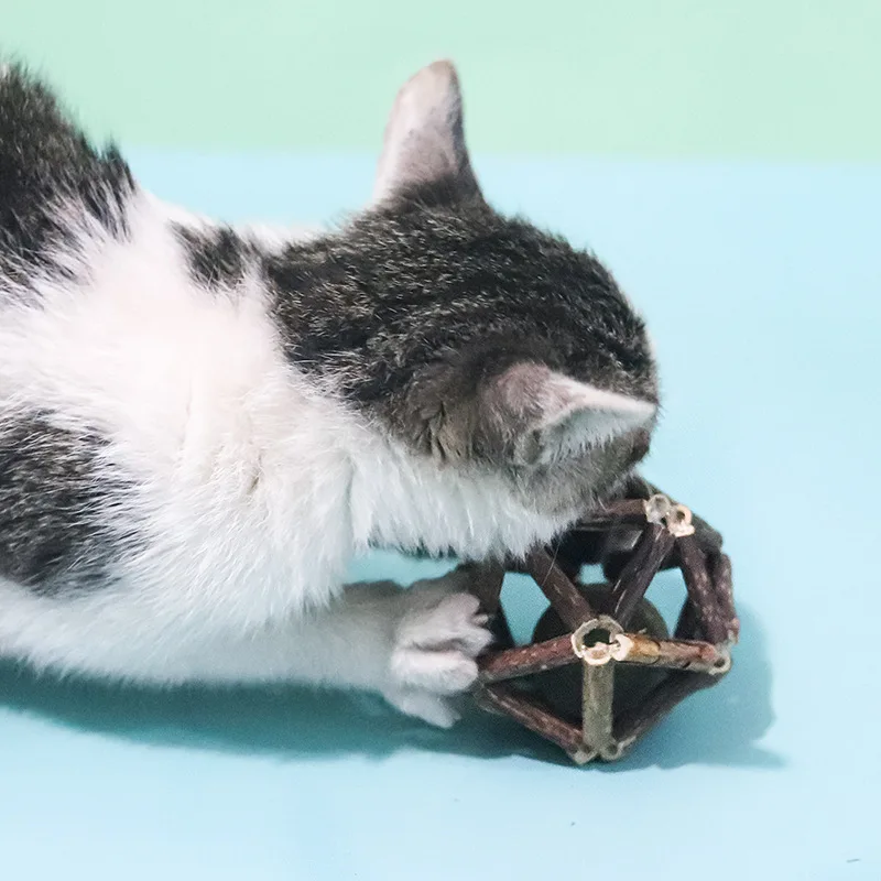 Cat pet Toy Japanese Catnip Chewy Toys Snacks Ball Nip Hair Removal Cleaning Molar Organic Stick Teeth Snack