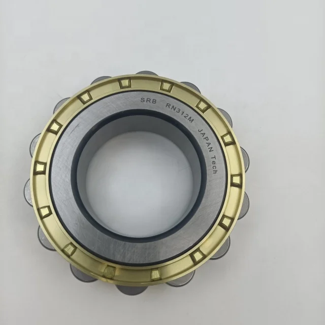 eccentric roller bearing RN312 M RN312 cylindrical roller bearing
