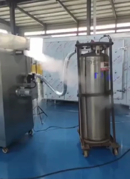 INCHOI Liquid Nitrogen Cabinet Freezer Lowest Temperature -196C  Individual Quick Freezing/Fast Freezer/Air Blast Freezer