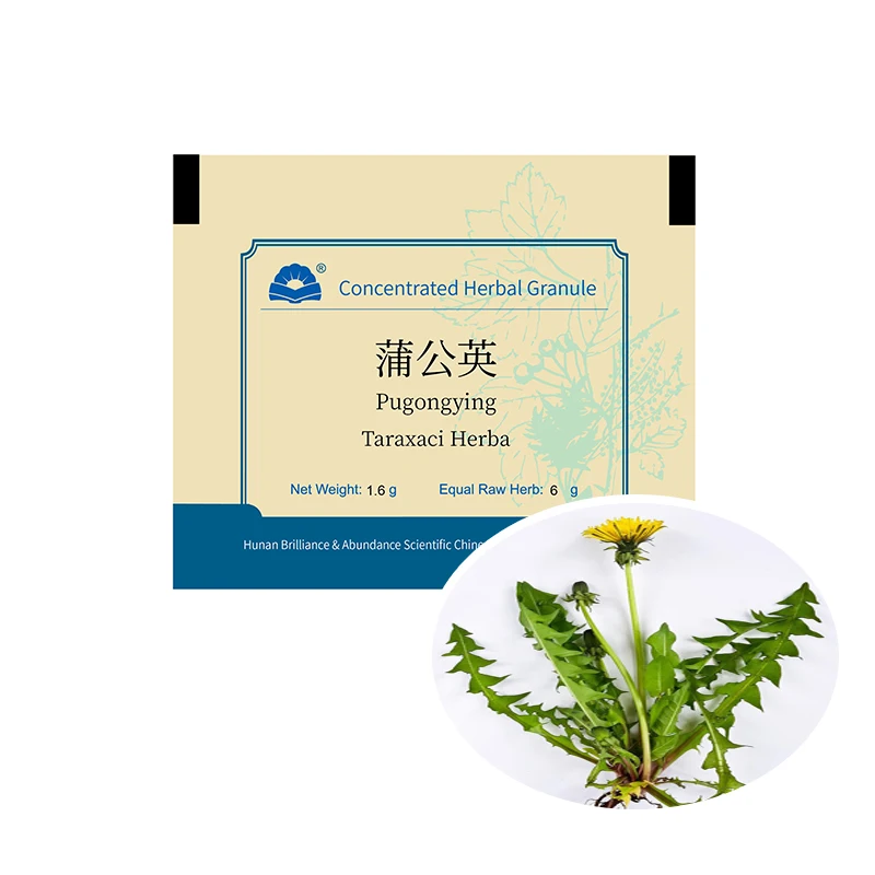 Китайский концентрированный травяной гранул чайный пакетик Taraxacum Officinale Одуванчик для почек