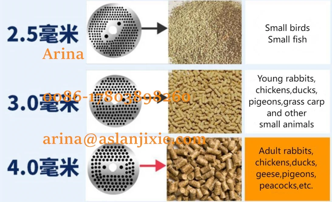 Low price animal pig sheep feed pellet forming machine 80kg feed pellet maker machine
