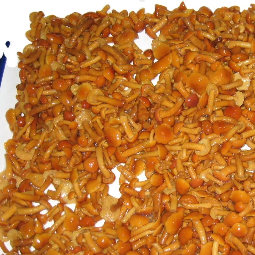 Консервированный гриб