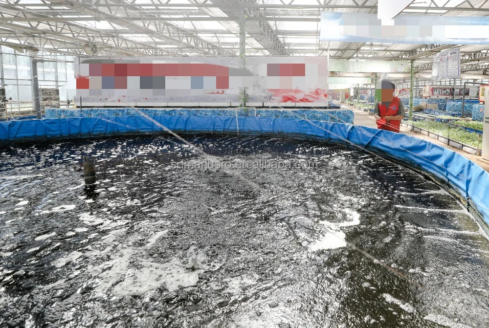 Plastic Fish Farm Tank for Fish Farming Ponds For Fish and Shrimp RAS Tilapia Farming Fisheries Aquaculture System Equipment