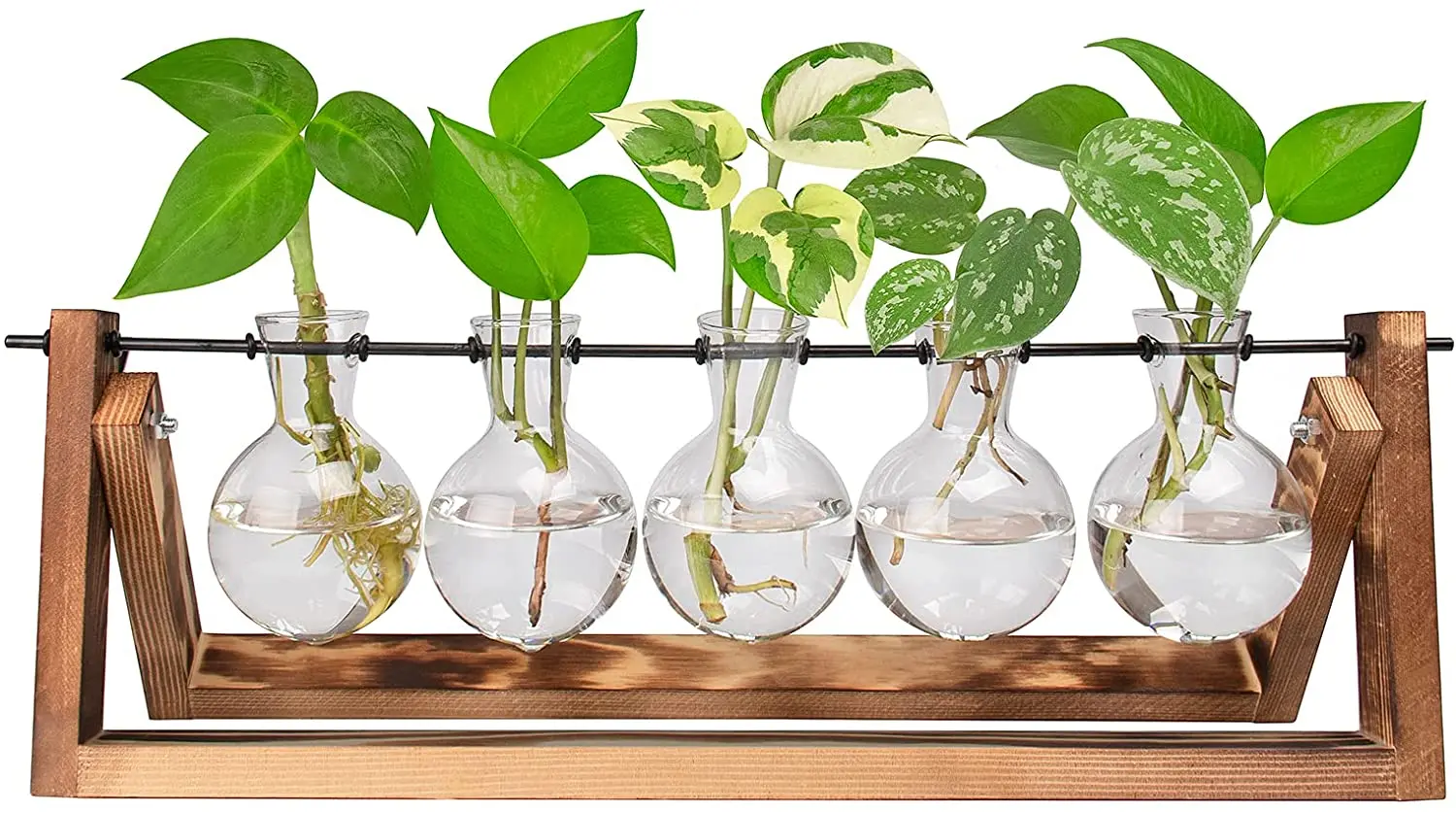 OEM Desktop Glass Bulb Plant Terrarium with Retro Solid Wooden Stand and Metal Swivel Holder for Home Garden Wedding Decor