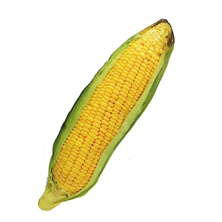 Wholesale shrimp shape Anti Bite Dog Toys Creative Simulation Vegetable Drumstick Toy Squeaky Toys for Dogs