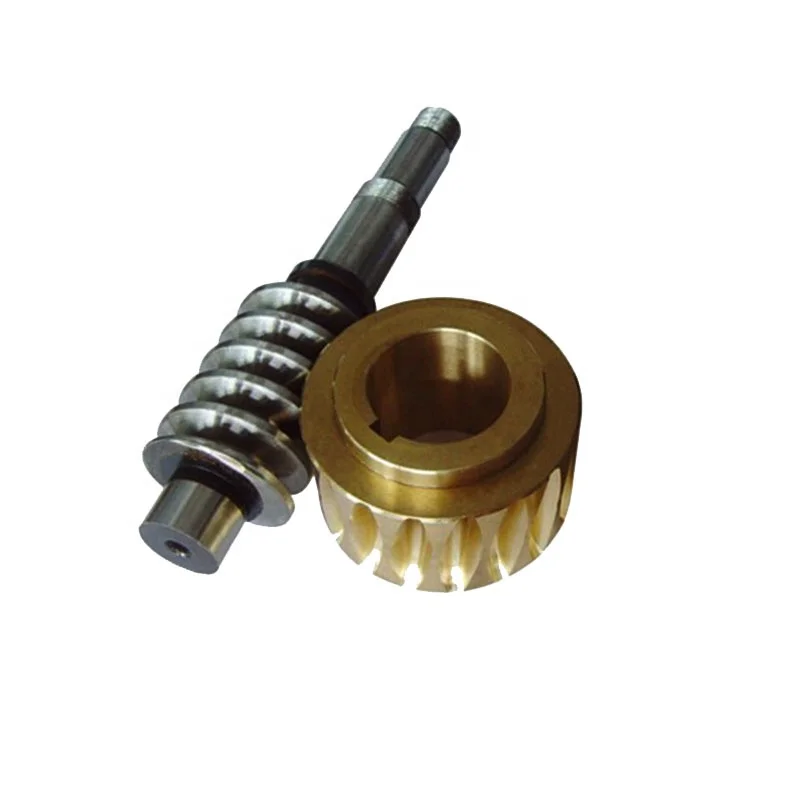 Precision Spur Small Brass Worm Gear