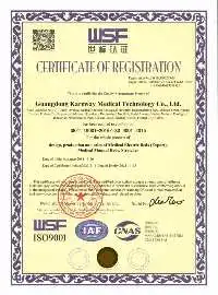 Kareway D504PZR UAE Popular Selling Electric Multi-Function Hospital Advance Icu Bed