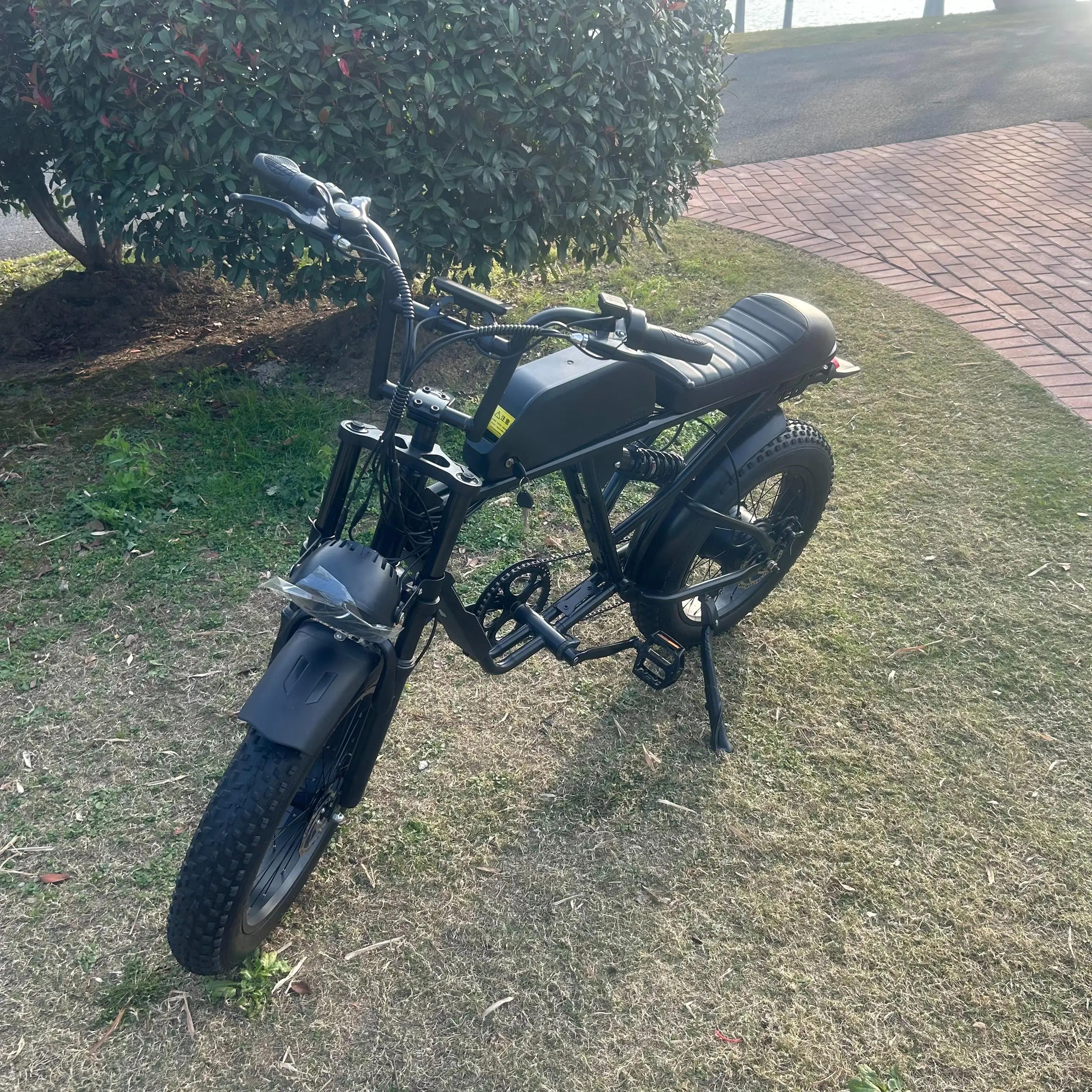 Low Price German Epac Bike Electric Bicycle Battery