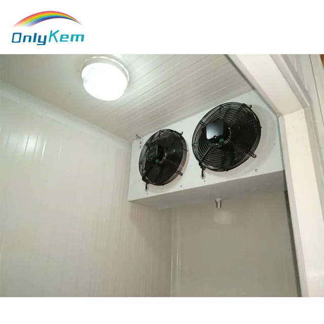 walk in blast freezer room for fish beef chicken