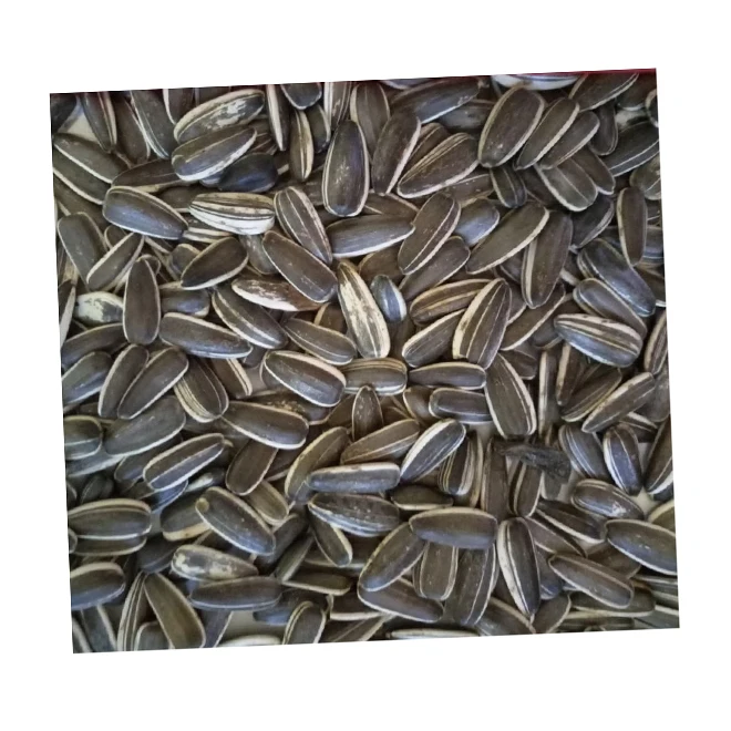 Other AD Dried Style ukraine sunflower seeds oil for hot sale