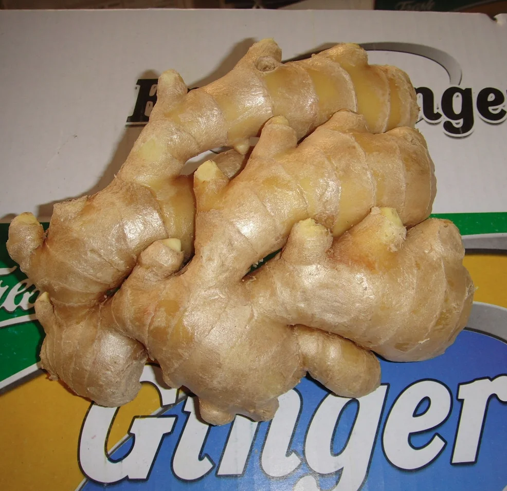 Raw Ginger Made in China Export Clear Dried Air Ginger China