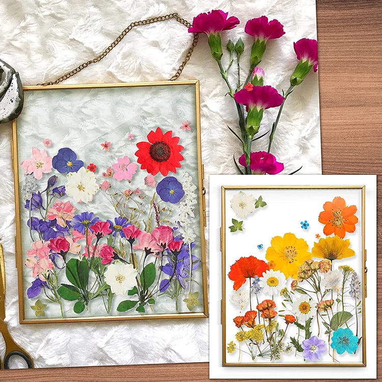 Dried Pressed Flowers Butterfly Stickers Real Natural Dry Flowers Leaves Bulk with Tweezers for resin Art Craft Supplies