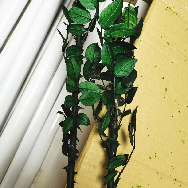 Best quality preserved rose stem 70cm long lasting rose stem real rose stem wholesale