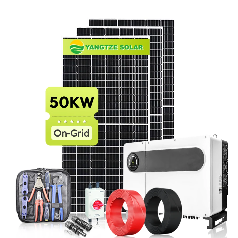 Yangtze Solar 50 kw on grid grid-tied grid-connected solar energy system installed on ground