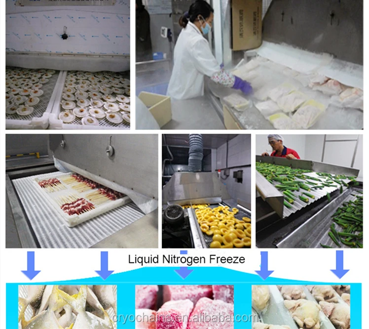 250kg-2T Small Blast Freezer Liquid Nitrogen IQF Tunnel Freezer Machine For Fish Seafoods Shirme Frozen Food