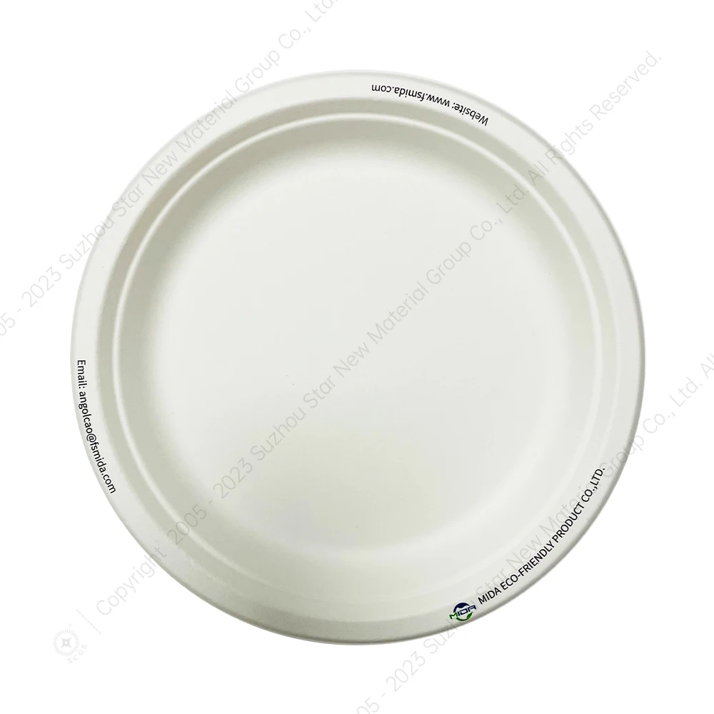 China Supplier Biodegradable Plate Disposable Sugarcane Bagasse Pulp Plates Bowl
