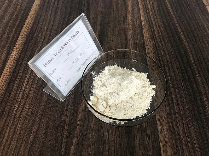 Insen Provide Food Grade Pepsin Powder