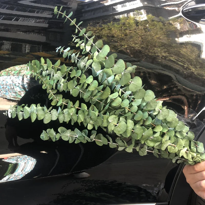 Gift Preserved Flower Box Valentine Wholesale Luxury Everlasting Stabilized Preserved Rose preserved Eucalyptus