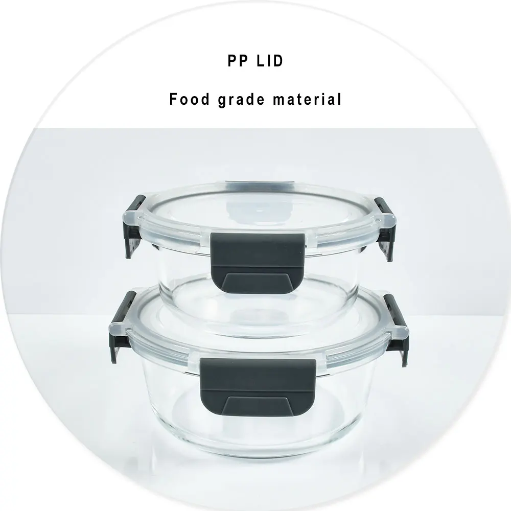Easying carrying glass tritan food container kids rectangle food bento lunch box with locking lid