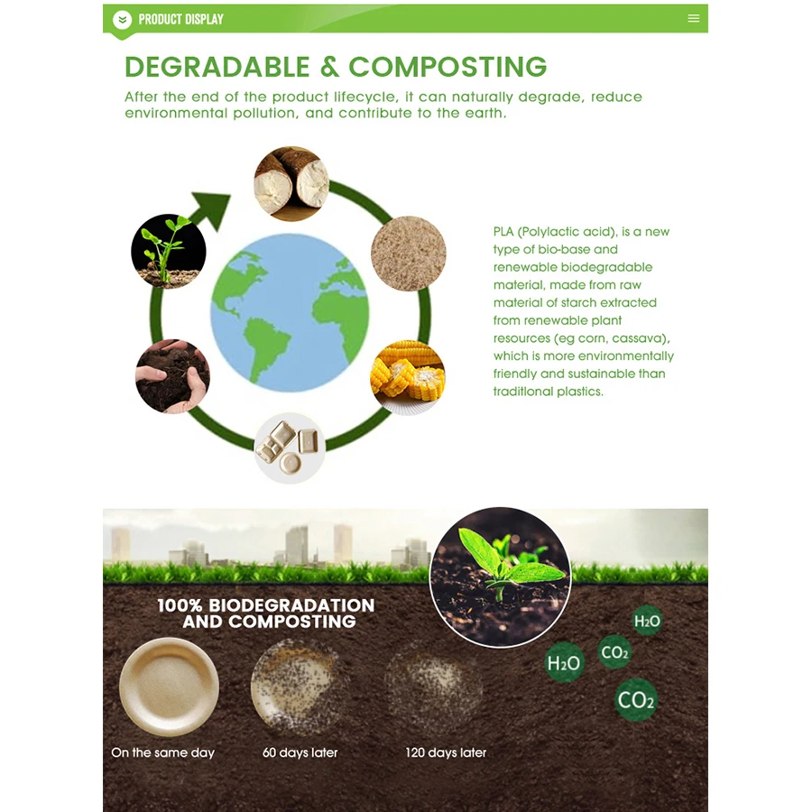 Disposable 100% Biodegradable Pla Foam Frozen Food Use Tray