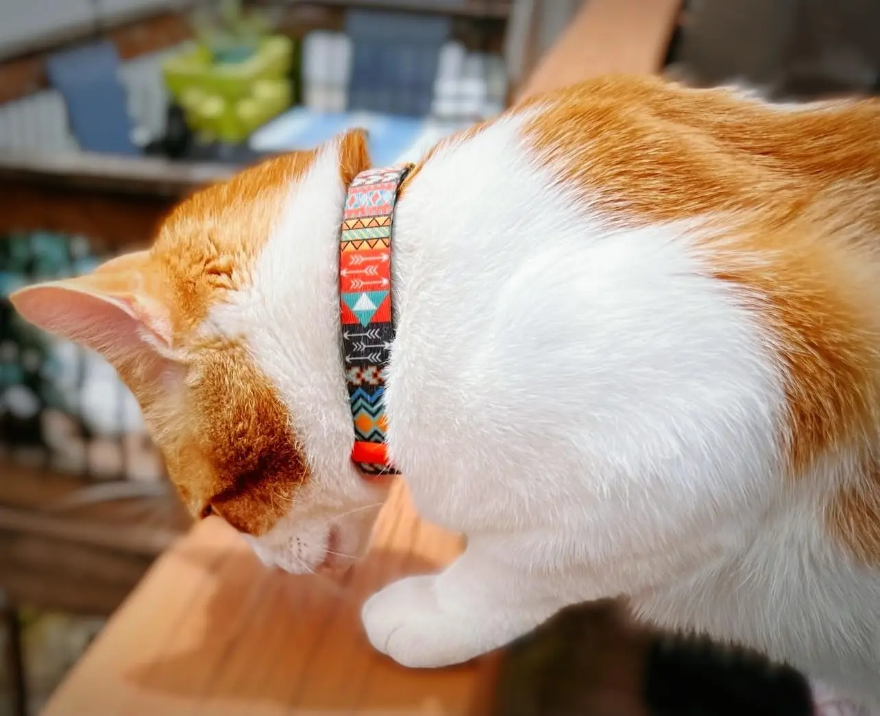 Titled Mountain Custom Patterned Luxury Beaded Pet Collars Sublimation Paracord Leather Dog Collar And Leash Set Hundehalsband