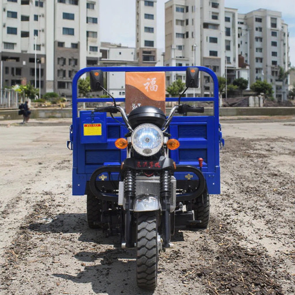 Bogist G125 Household and Agricultural Use 3-Wheeled Cargo Motorcycle, Zongshen Water-Cooled Gasoline Tricycle Vehicle - ecarcc official