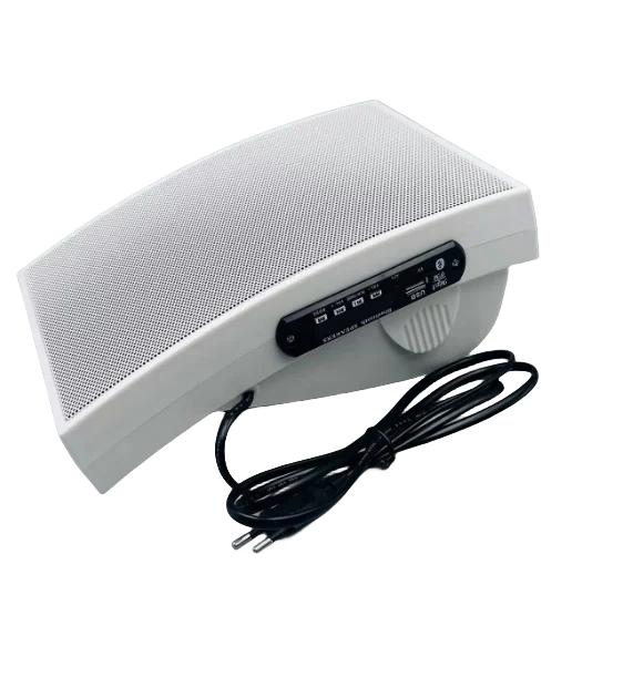 New Outdoor Wall Mounted Speaker Hot Products Outdoor Wall Mounted Speaker 10W For Sale BG-04 BT speaker wall mount